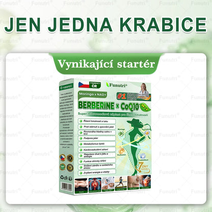 Oficiální obchod 🍀 Funutri® 10 v 1 metabolická tvarující náplast s nano mikrojehličkami (Pouze jednou denně, viditelné změny již za 7 dní)  Určeno pro osoby s obezitou, diabetem, spánkovou apnoe
